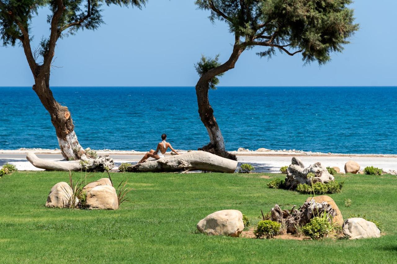 Artemis Seafront Villa, An Evanescence Sea Retreat, By Thinkvilla Tavronitis Dış mekan fotoğraf